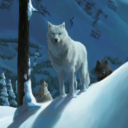 Wolfspell Outside Cover Detail