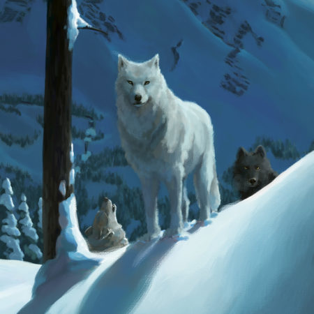 Wolfspell Outside Cover Detail