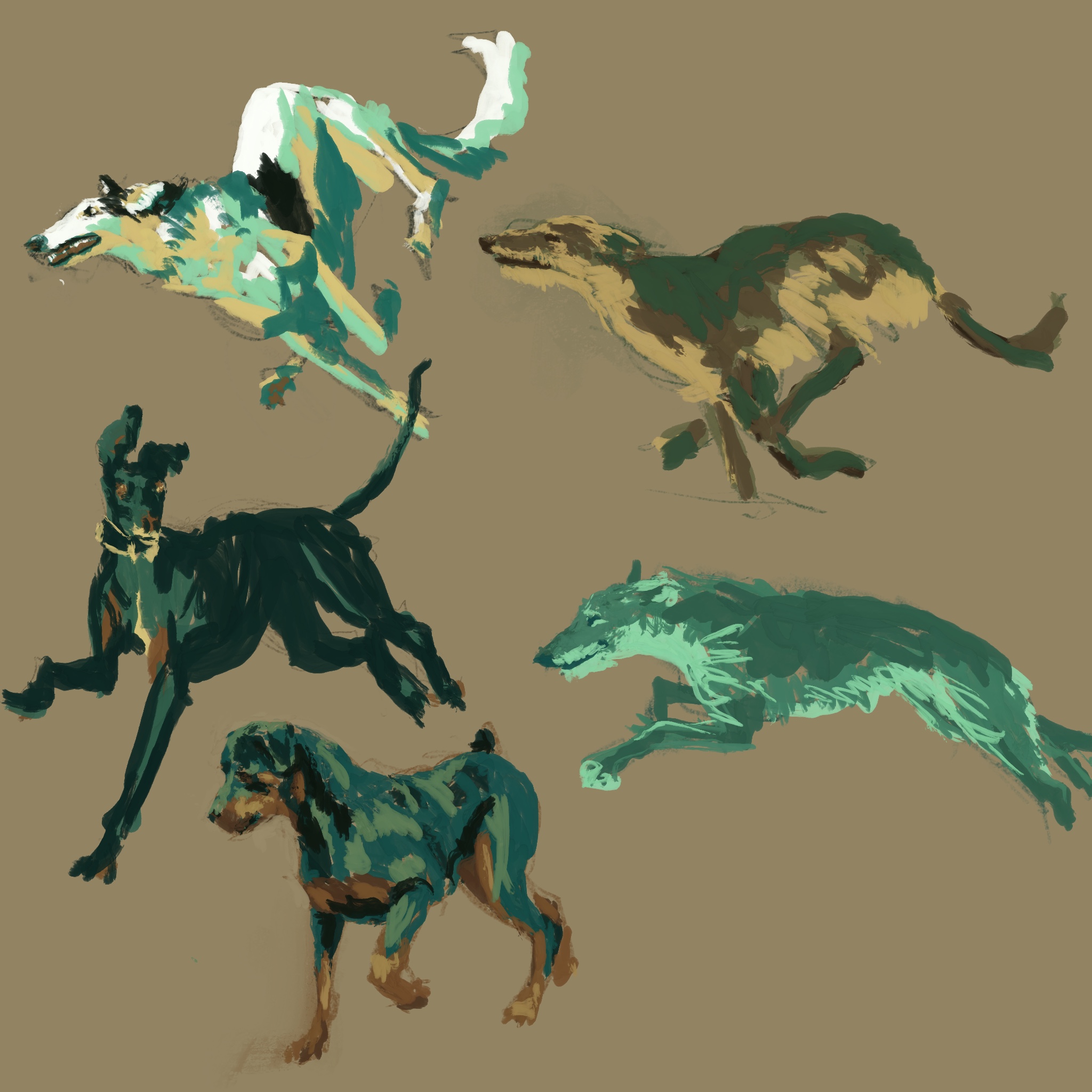 Dog Sketches in Procreate
