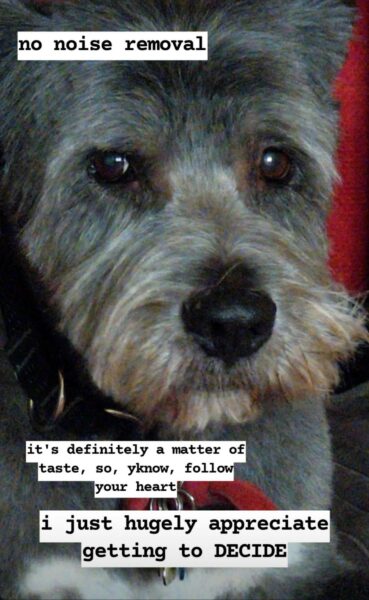 Photograph of the same dog in the same setting but with view slightly tilted so that the dog is looking to the viewer's right. Their fur has more brown streaks and the details seem sharper than the previous photograph.
Top left text annotation: no noise removal.
Text annotation towards bottom left, slightly smaller text: it's definitely a matter of taste, so, yknow, follow your heart
Bottom center text annotation, slightly larger text: i just hugely appreciate getting to begin all caps decide end all caps.