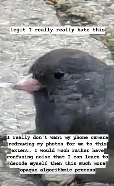 Zoomed in picture of a black bird with a short pink beak. Background: textured rocks. Top text annotation: legit I really really hate this.
Bottom text annotation: I really don't want my phone camera redrawing my photos for me to this extent. I would much rather have confusing noise that I can learn to decode myself then this much more opaque algorithmic process.