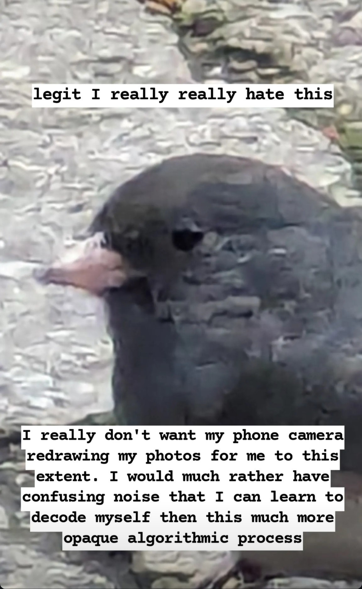  Zoomed in picture of a black bird with a short pink beak. Background: textured rocks. Top text annotation: legit I really really hate this.

Bottom text annotation: I really don't want my phone camera redrawing my photos for me to this extent. I would much rather have confusing noise that I can learn to decode myself then this much more opaque algorithmic process.