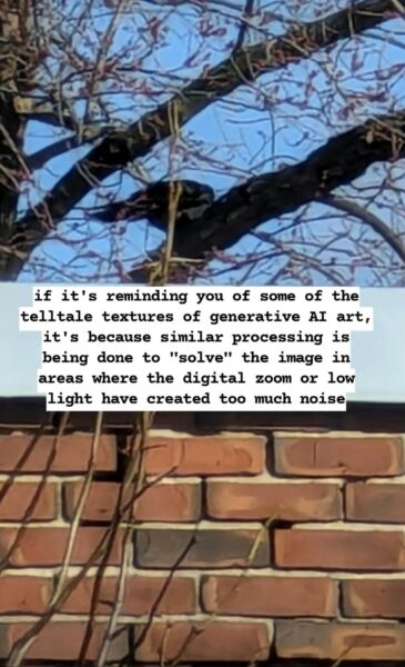 Photograph of a black bird in a tree with no leaves. The tree branches are hanging over a brick wall. The image seems out of focus and weirdly painted. Center text annotation: if it's reminding you of some of the telltale textures of generative AI art, it's because similar processing is being done to "solve" the image in areas where the digital zoom or low light have created too much noise.