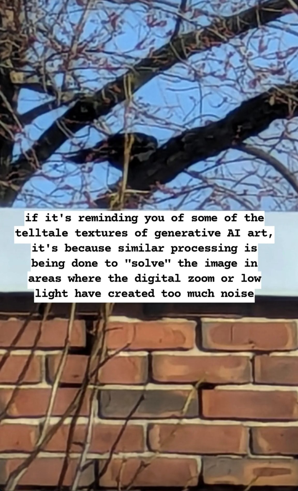 Photograph of a black bird in a tree with no leaves. The tree branches are hanging over a brick wall. The image seems out of focus and weirdly painted. Center text annotation: if it's reminding you of some of the telltale textures of generative AI art, it's because similar processing is being done to "solve" the image in areas where the digital zoom or low light have created too much noise.