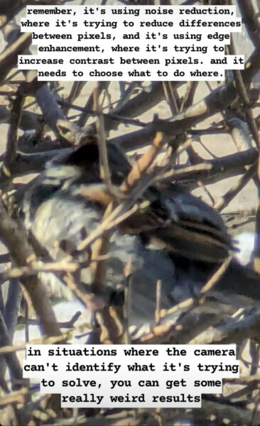 Zoomed in picture of a dark bird amongst bare tree branches. Again, the image is out of focus and weirdly painted. Top text annotation: remember, it's using noise reduction, where it's trying to reduce difference between pixels, and it's using edge enhancement, where it's trying to increase contrast between pixels. and it needs to choose what to do where.
Bottom text annotation: in situations where the camera can't identify what it's trying to solve, you can get some really weird results.