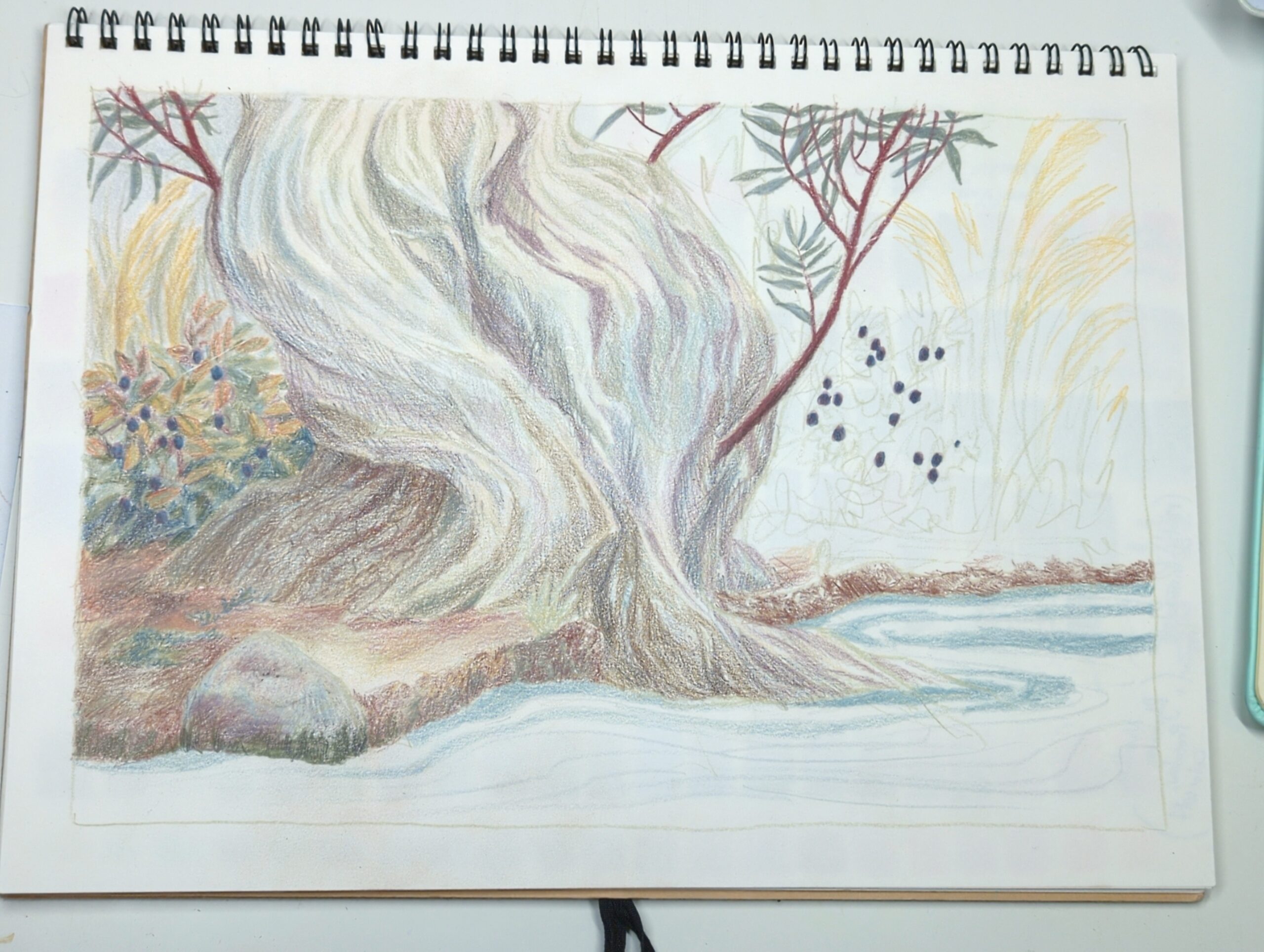 Added a blueberry bush