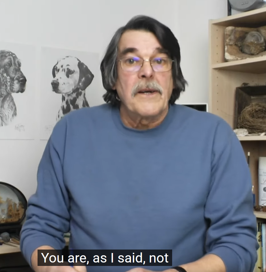 You are, as I said, not