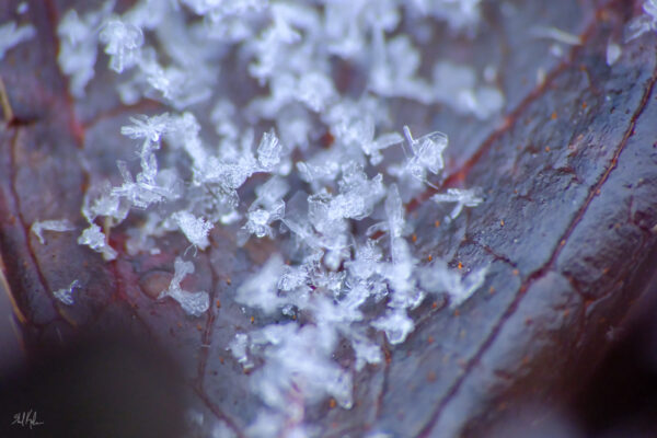 snow macro experiment #1